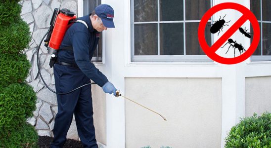 Yamanlar Karınca İlaçlama böcek ilaçlama ve haşere kontrolü — ilaclama-tr.com